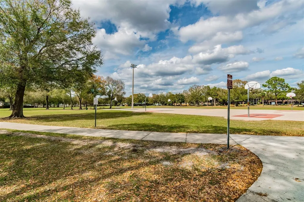 15824 Knollview Drive Tampa FL 33624