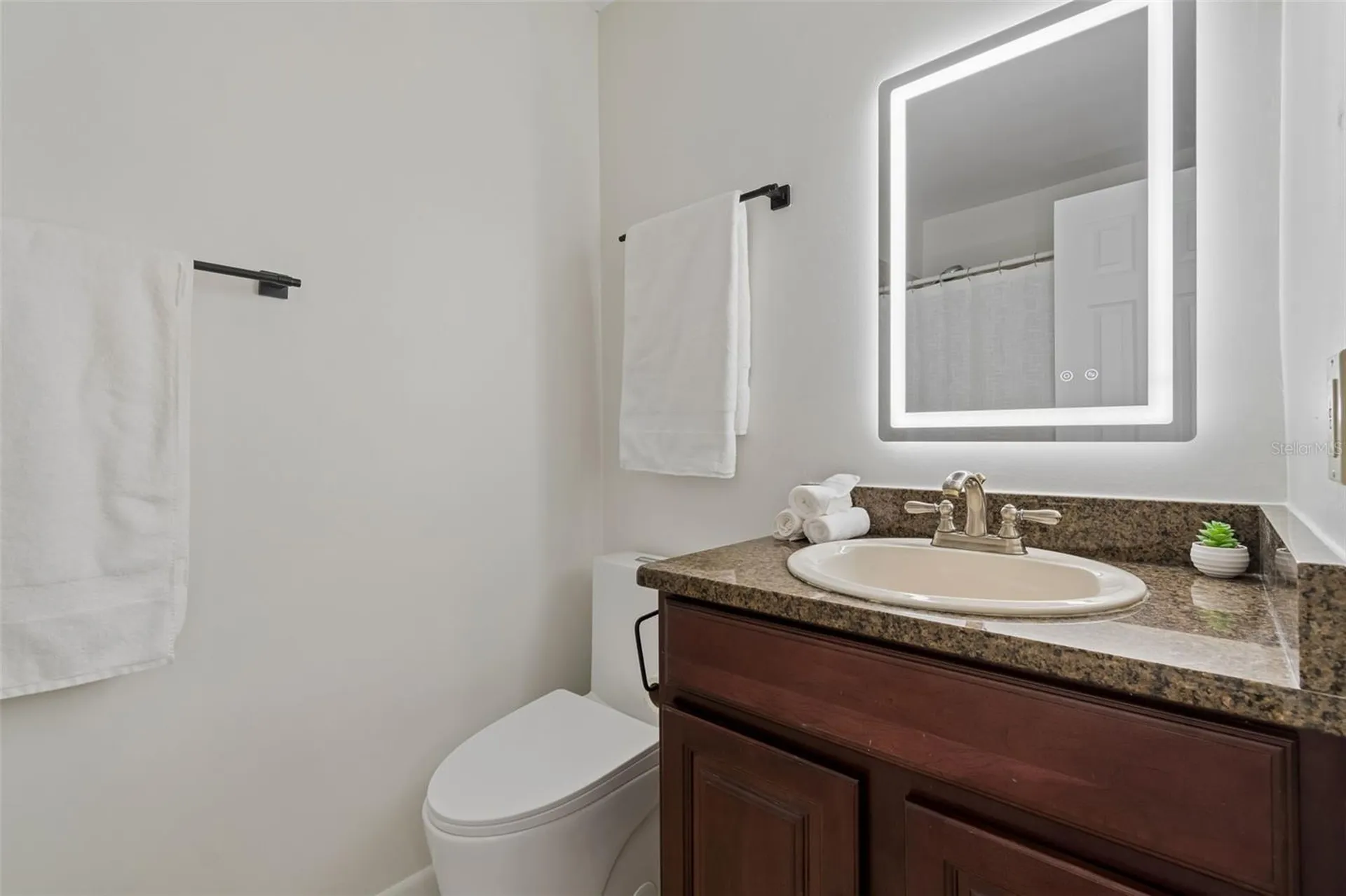 15824 Knollview Drive Tampa FL 33624
