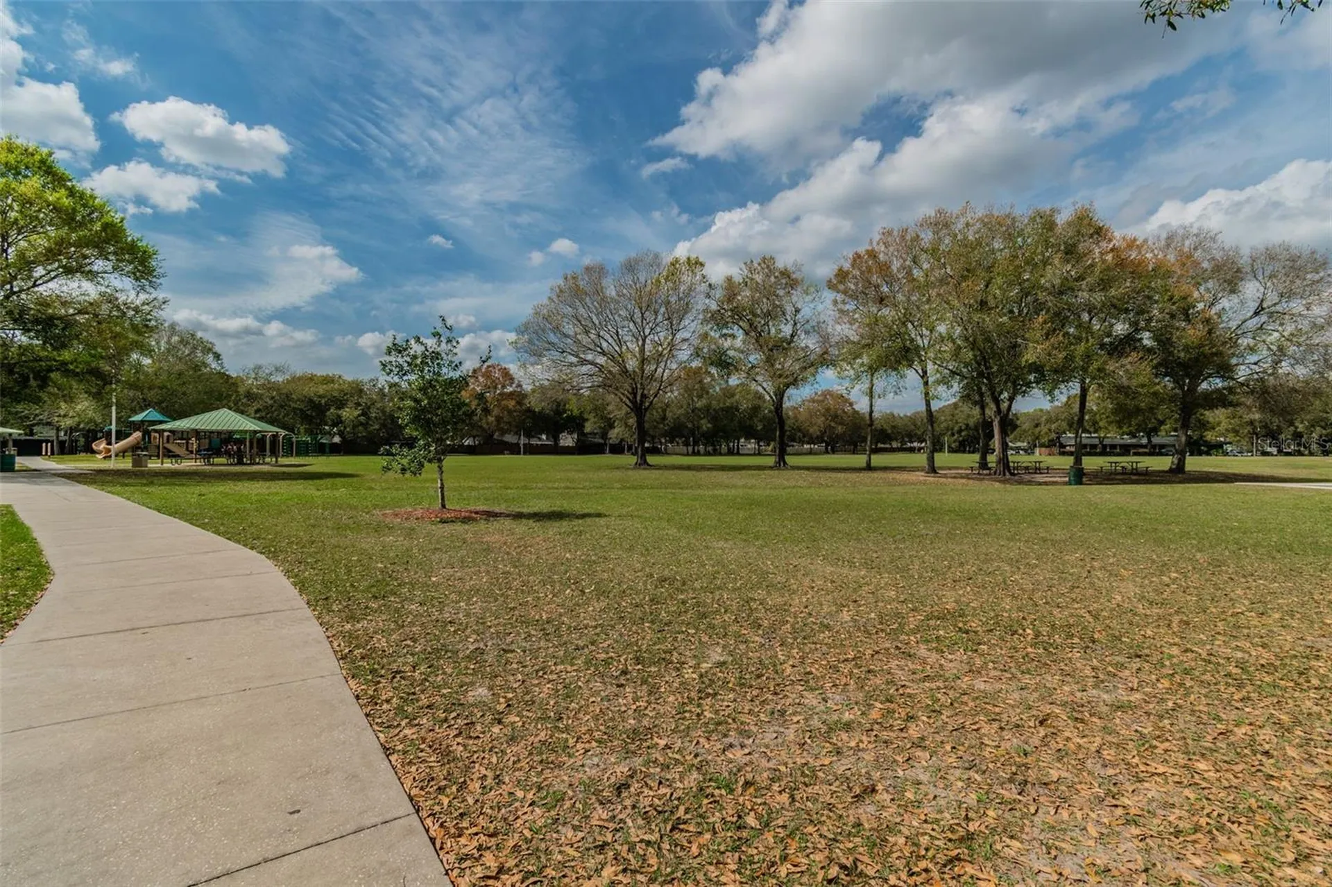 15824 Knollview Drive Tampa FL 33624