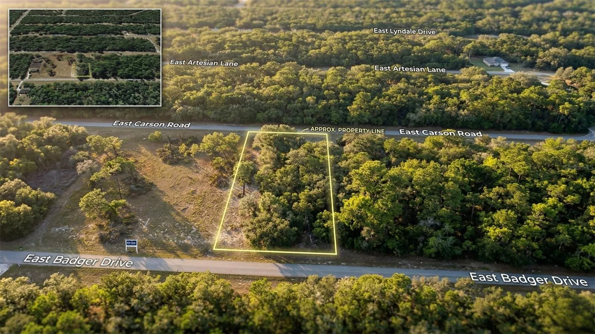 1728 E Badger Drive Dunnellon FL 34434