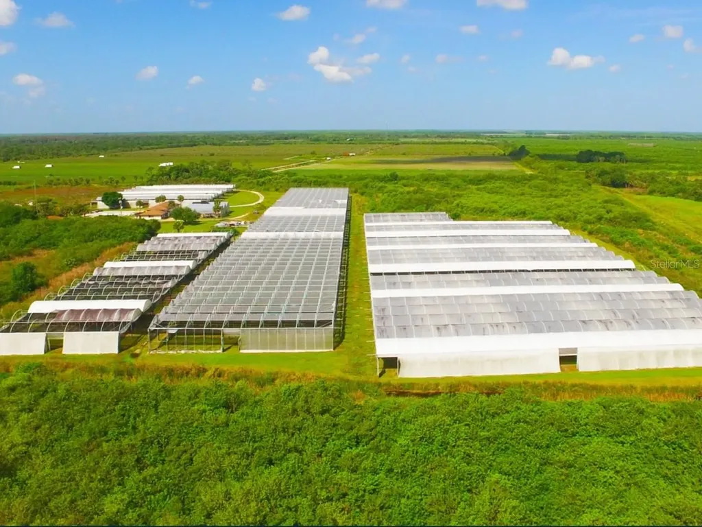 6150 Pringle Lane Immokalee FL 34142