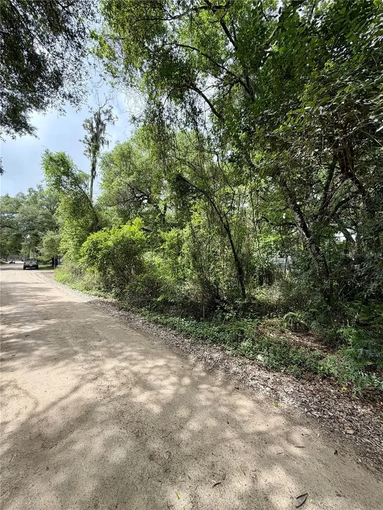 Tbd NE 130 Place Salt Springs FL 32134
