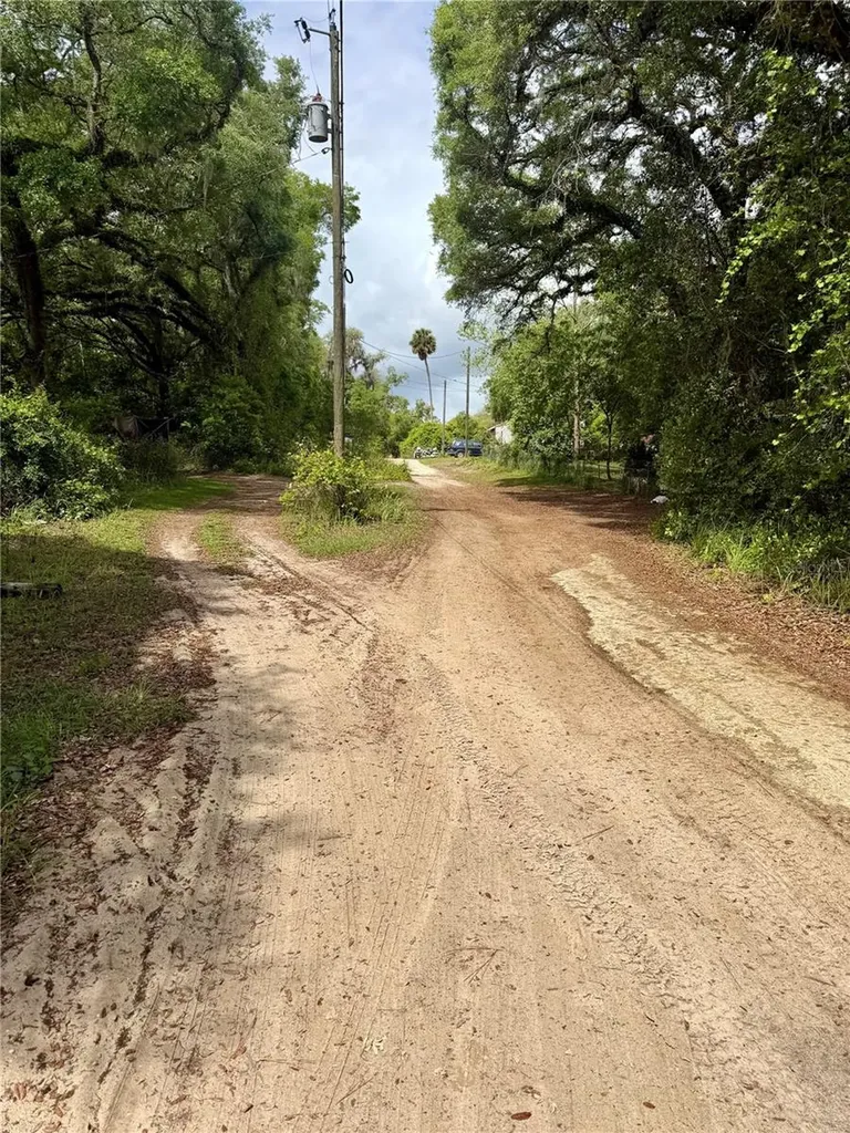 Tbd NE 130 Place Salt Springs FL 32134