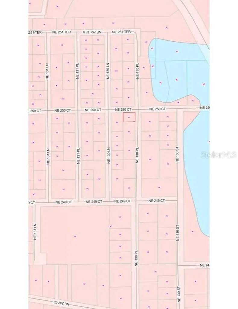 Tbd NE 130 Place Salt Springs FL 32134