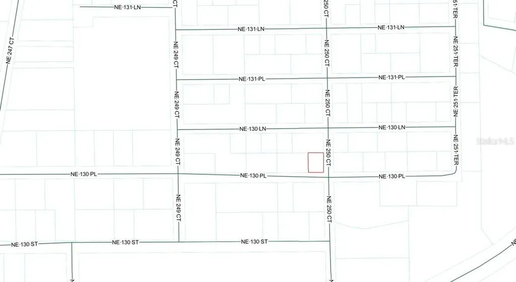 Tbd NE 130 Place Salt Springs FL 32134