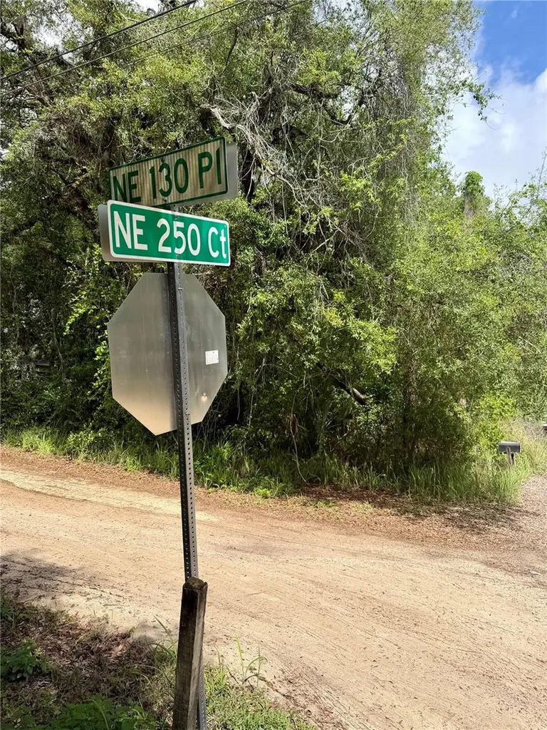 Tbd NE 130 Place Salt Springs FL 32134