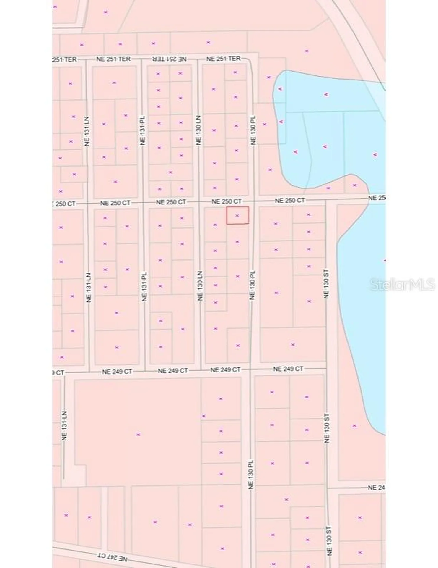Tbd NE 130 Place Salt Springs FL 32134