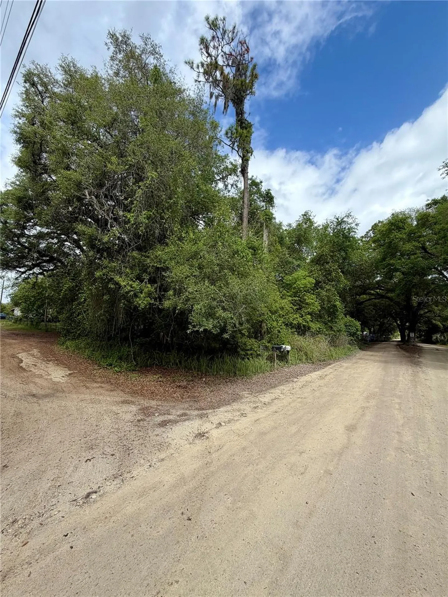 Tbd NE 130 Place Salt Springs FL 32134