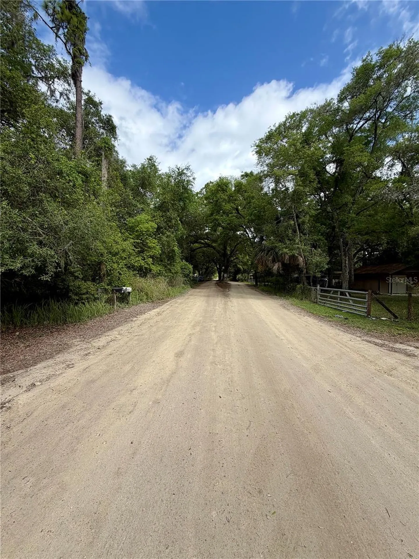 Tbd NE 130 Place Salt Springs FL 32134