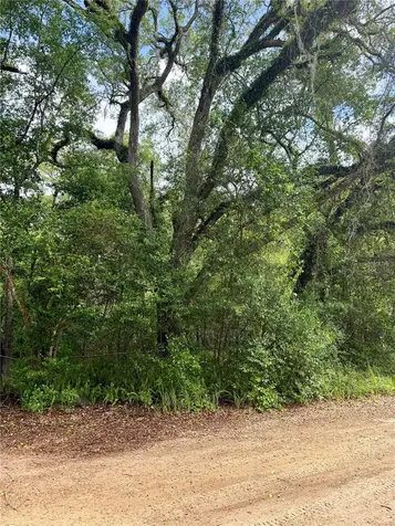 TBD NE 130 Place Salt Springs FL 32134