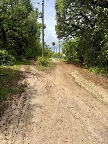 Tbd NE 130 Place Salt Springs FL 32134