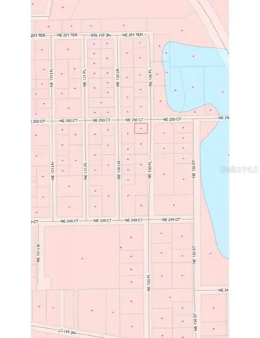 Tbd NE 130 Place Salt Springs FL 32134
