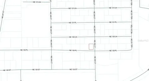 Tbd NE 130 Place Salt Springs FL 32134