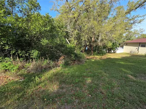 Country Club Road Eustis FL 32726