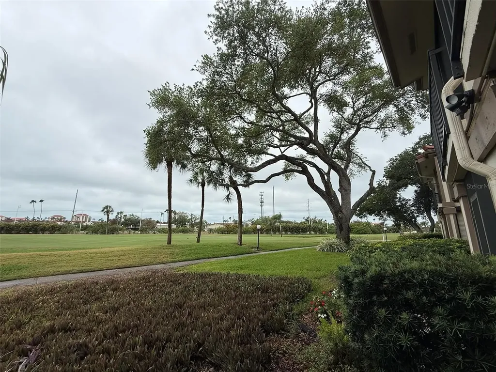 6219 Palma Del Mar Boulevard S St Petersburg FL 33715