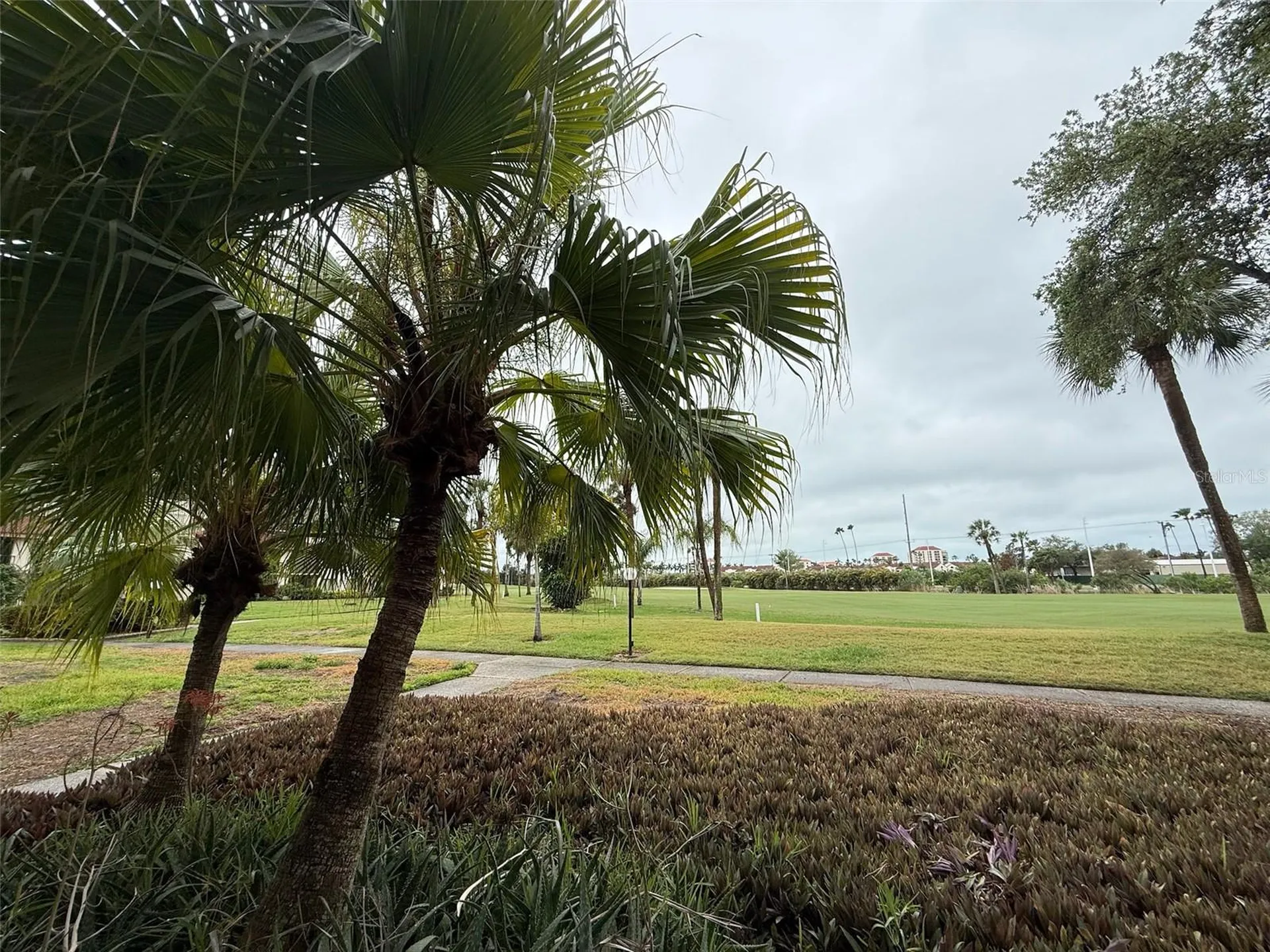6219 Palma Del Mar Boulevard S St Petersburg FL 33715