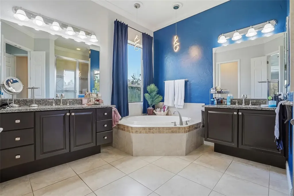 7101 Hatpin Loop Wesley Chapel FL 33545