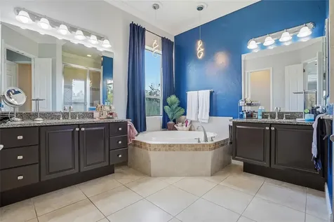 7101 Hatpin Loop Wesley Chapel FL 33545