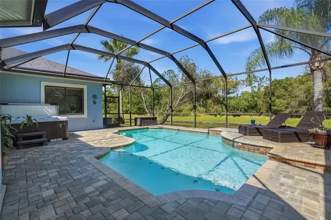 7101 Hatpin Loop Wesley Chapel FL 33545