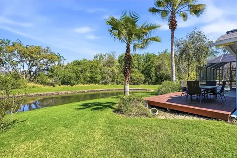 7101 Hatpin Loop Wesley Chapel FL 33545