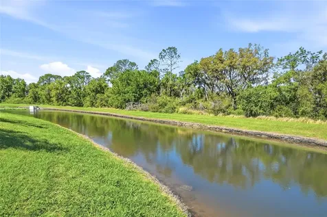 7101 Hatpin Loop Wesley Chapel FL 33545