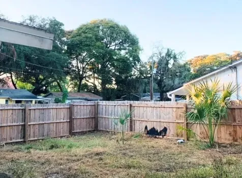 1502 E Sewaha Street Tampa FL 33612