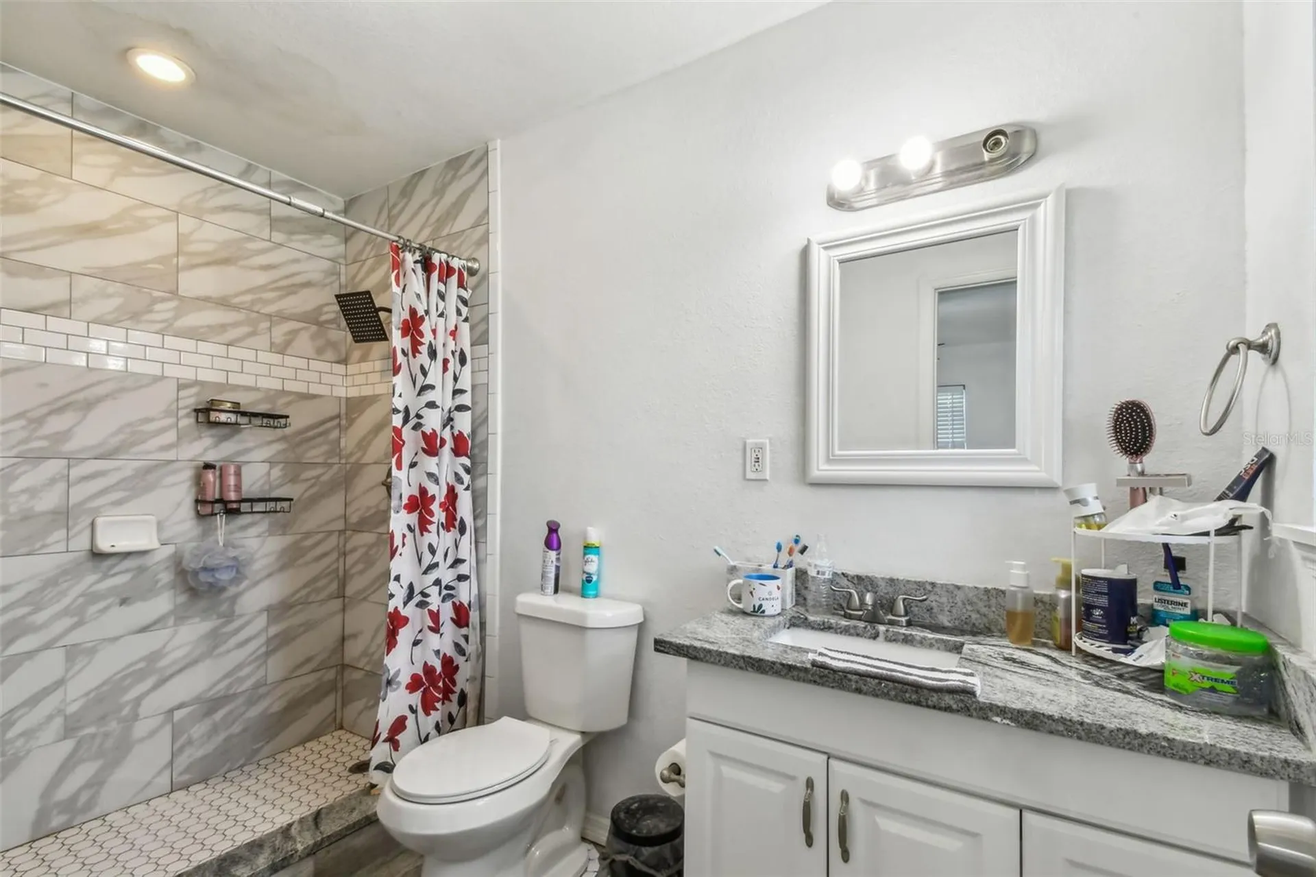 4005 W Tyson Avenue Tampa FL 33611