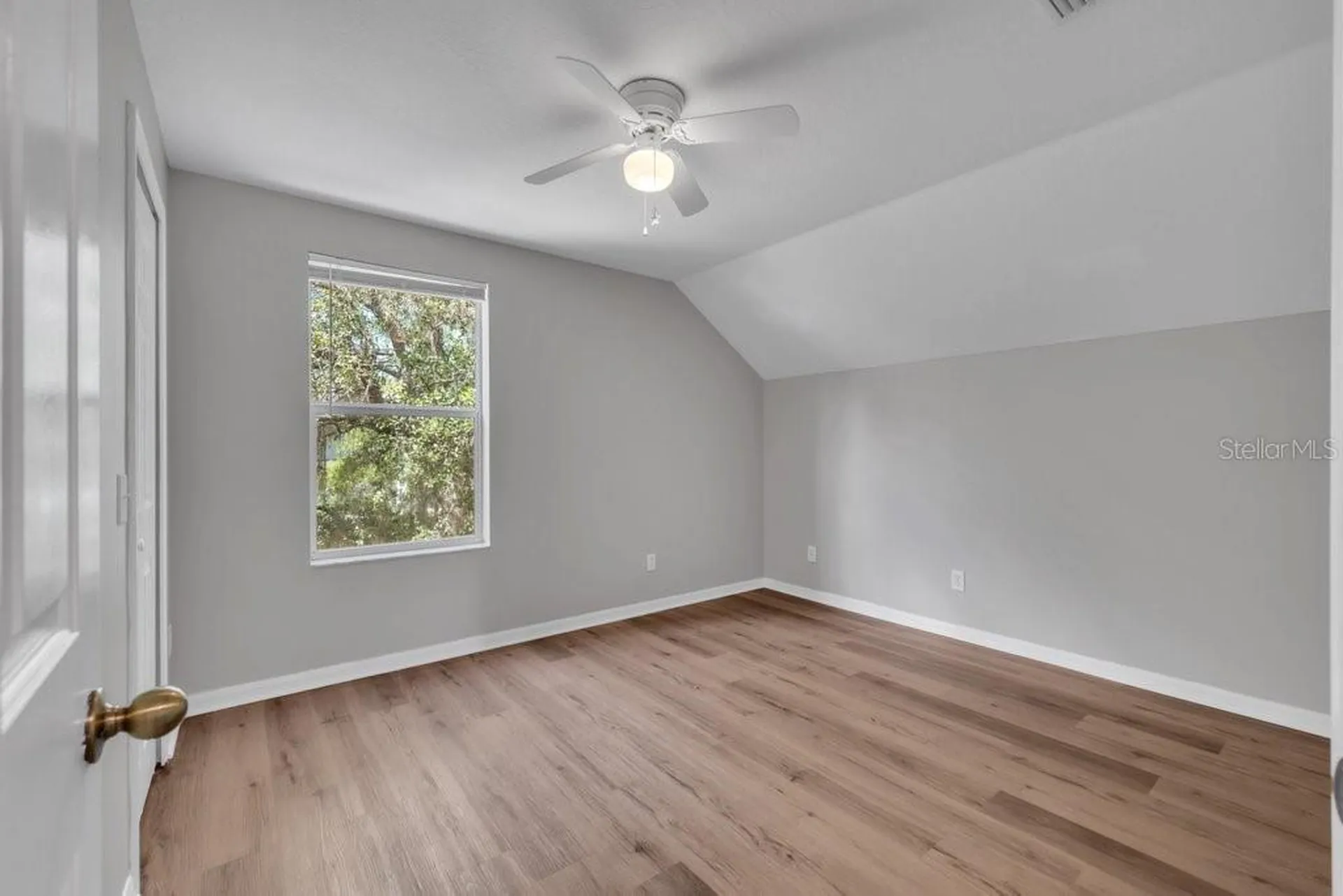4729 White Bay Circle Wesley Chapel FL 33545