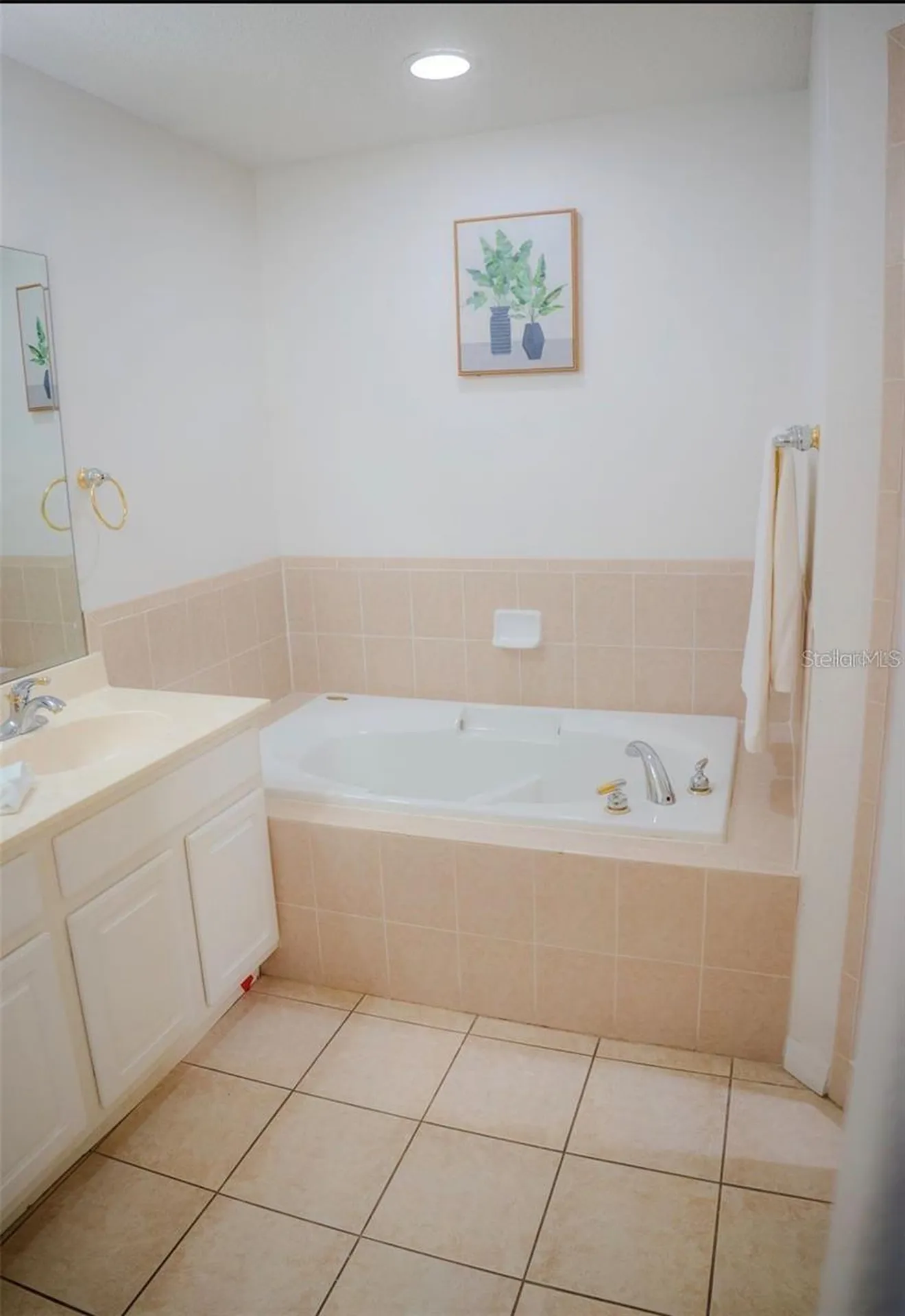 416 Vista Loop Davenport FL 33897