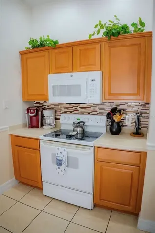 416 Vista Loop Davenport FL 33897
