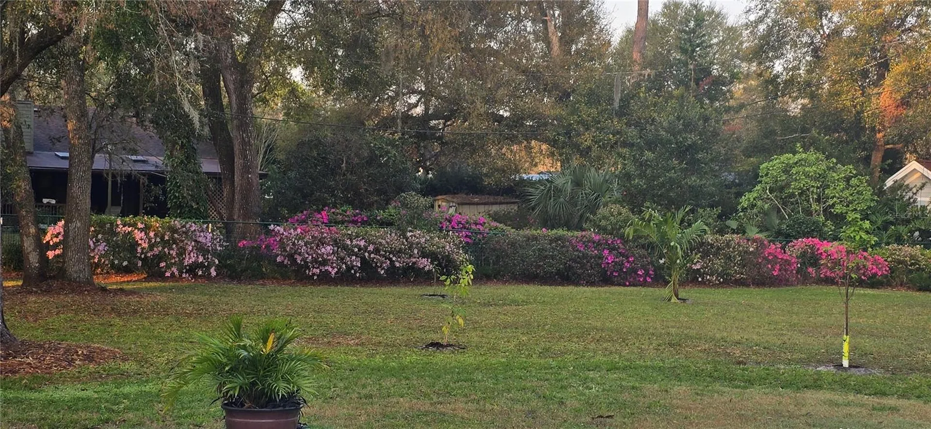 805 Bay Tree Circle Deland FL 32724
