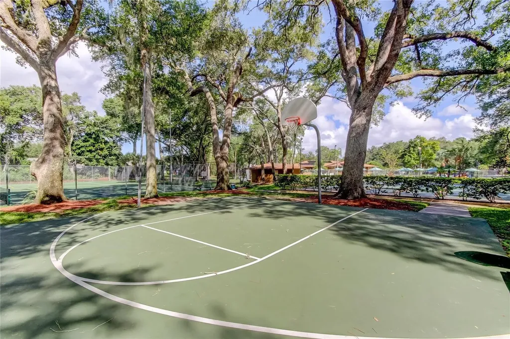 3295 Fox Chase Palm Harbor FL 34683