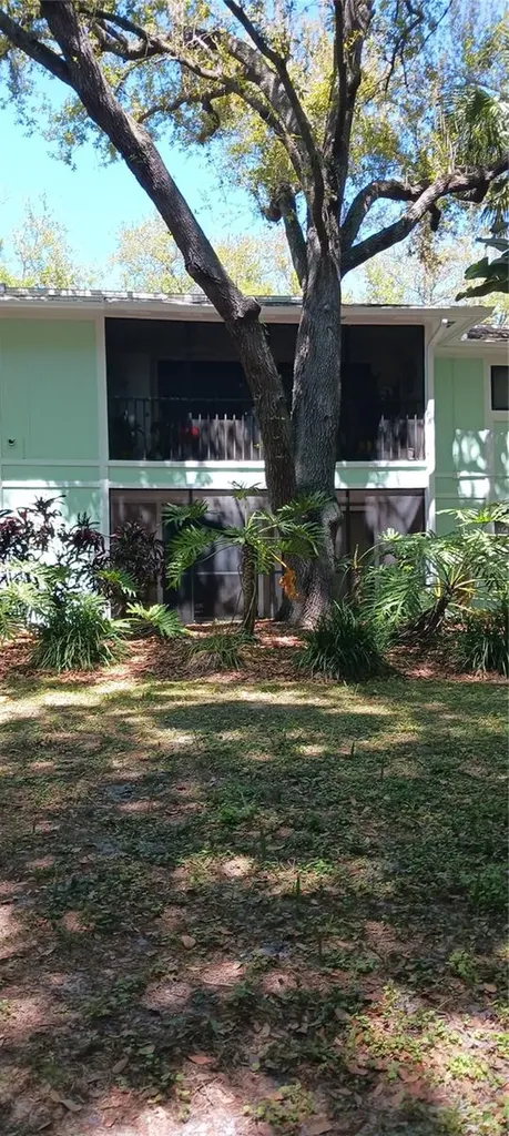 3295 Fox Chase Palm Harbor FL 34683