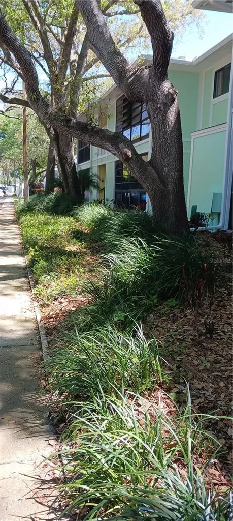 3295 Fox Chase Palm Harbor FL 34683