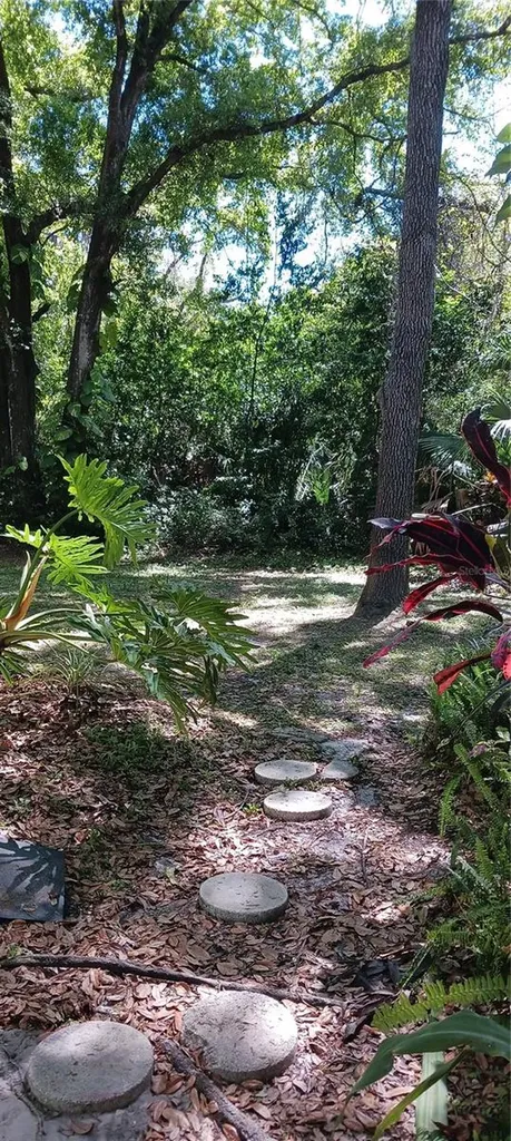 3295 Fox Chase Palm Harbor FL 34683