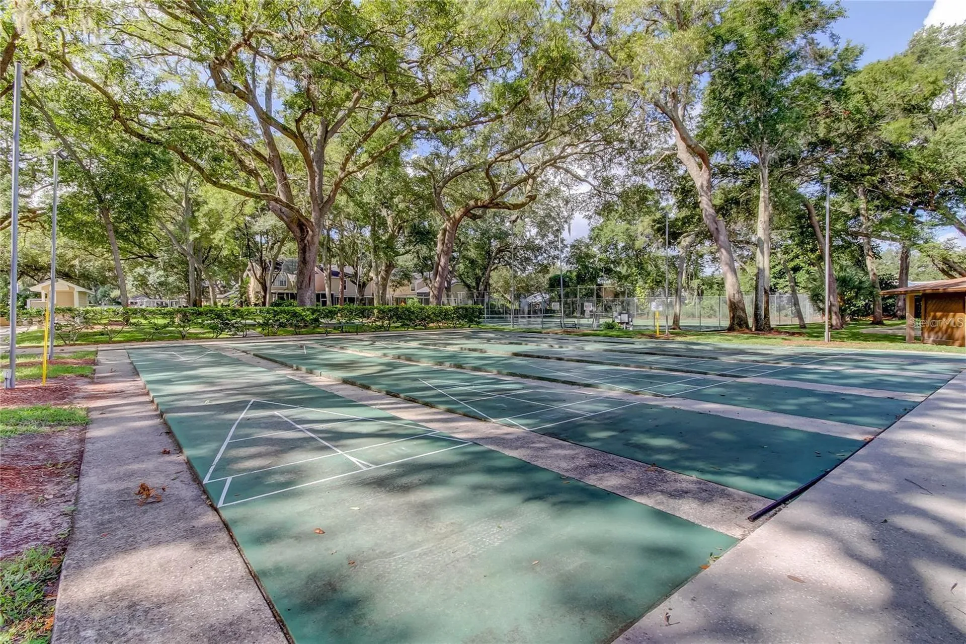 3295 Fox Chase Palm Harbor FL 34683