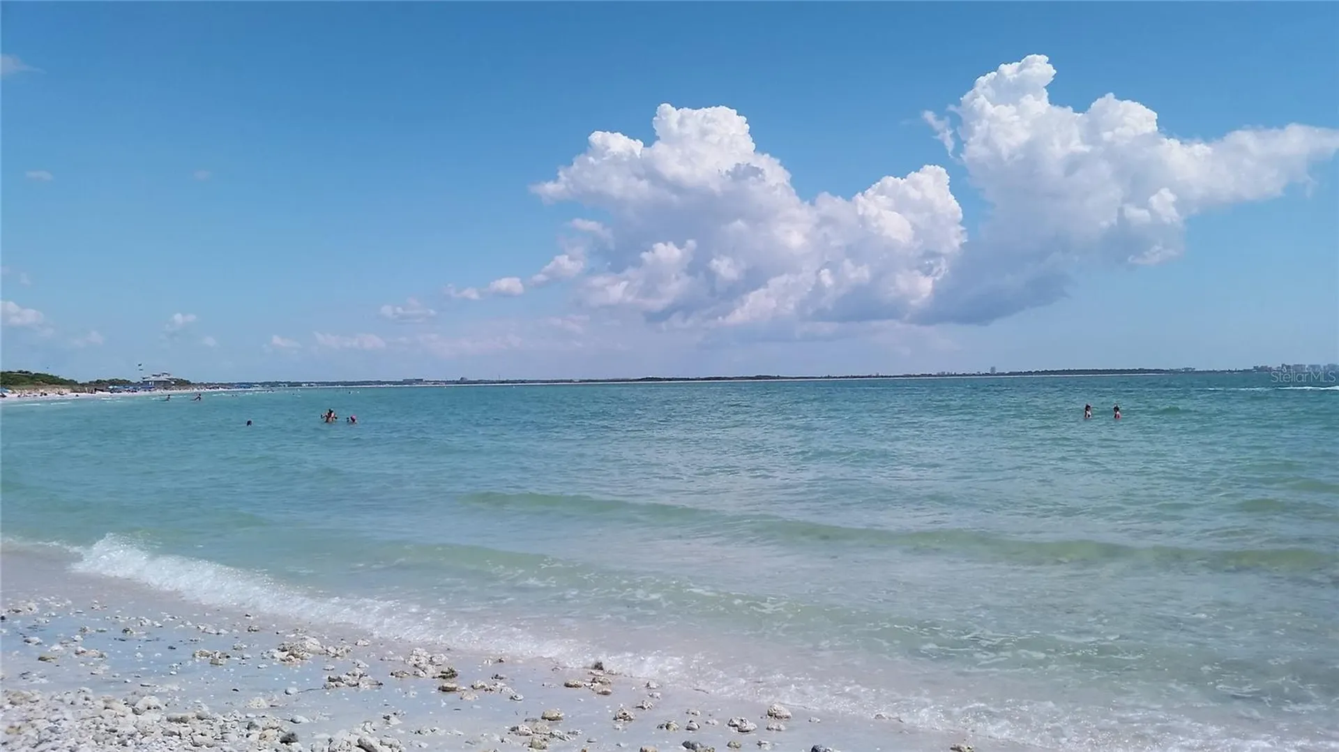 3295 Fox Chase Palm Harbor FL 34683