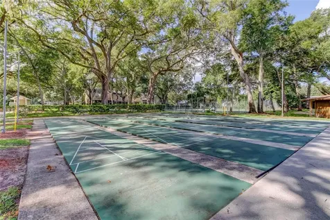 3295 Fox Chase Palm Harbor FL 34683
