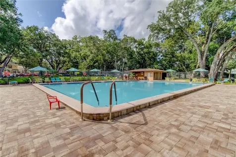 3295 Fox Chase Palm Harbor FL 34683