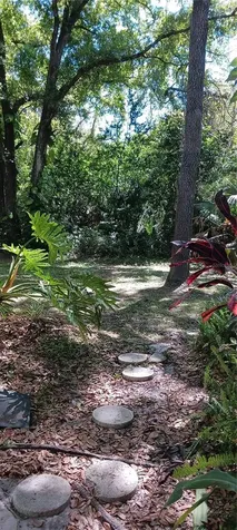 3295 Fox Chase Palm Harbor FL 34683