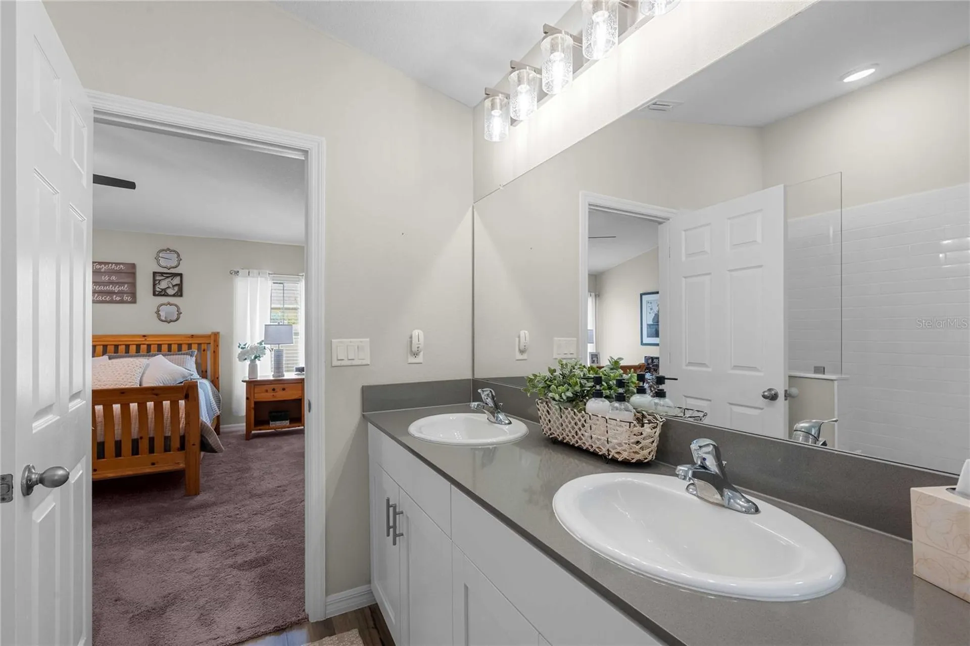 34102 Scarlet Sage Court Wesley Chapel FL 33545