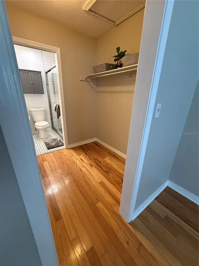 6919 Place De La Paix St Petersburg FL 33707