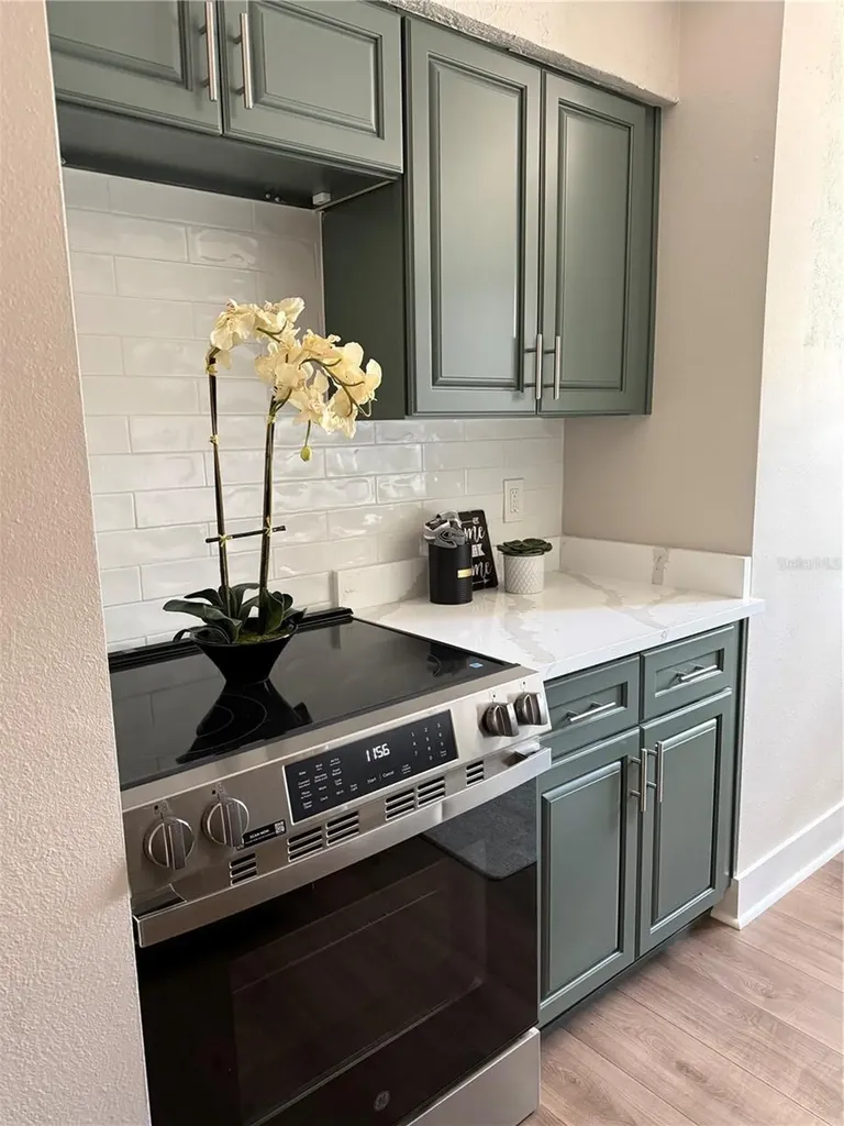 6919 Place De La Paix St Petersburg FL 33707