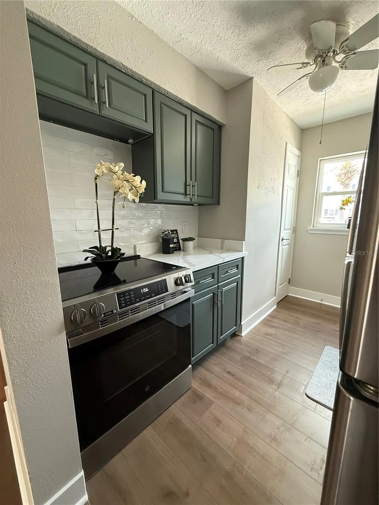 6919 Place De La Paix St Petersburg FL 33707
