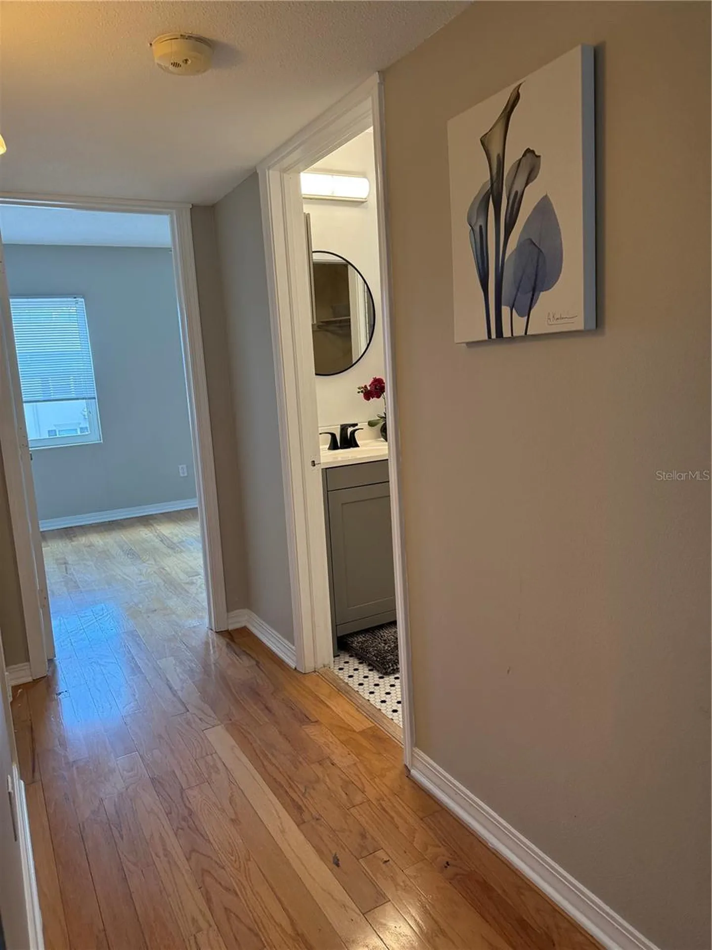 6919 Place De La Paix St Petersburg FL 33707