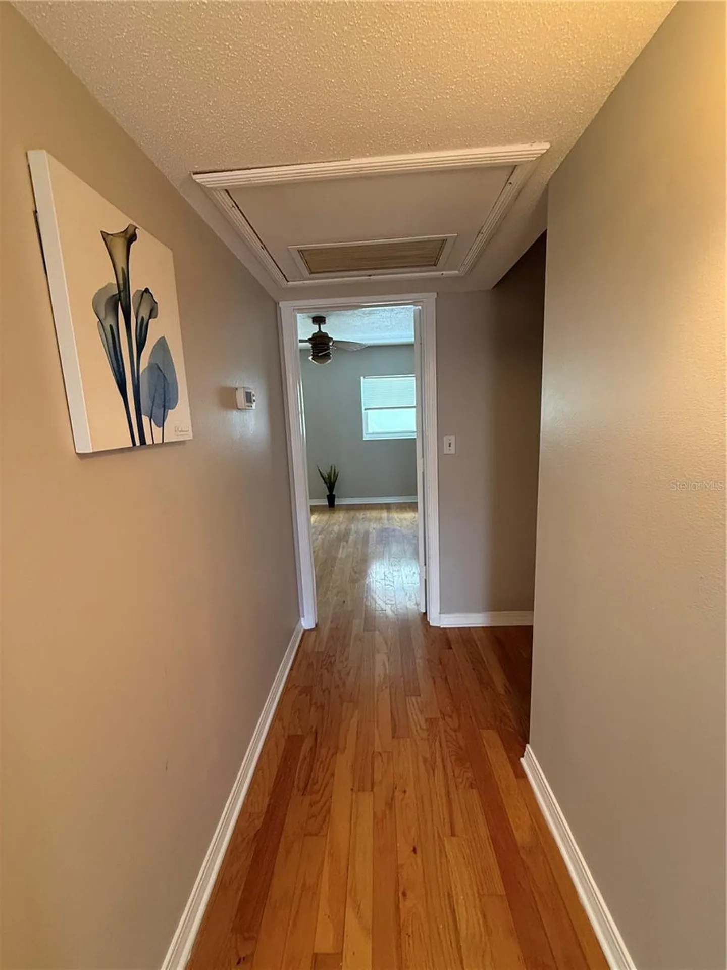 6919 Place De La Paix St Petersburg FL 33707