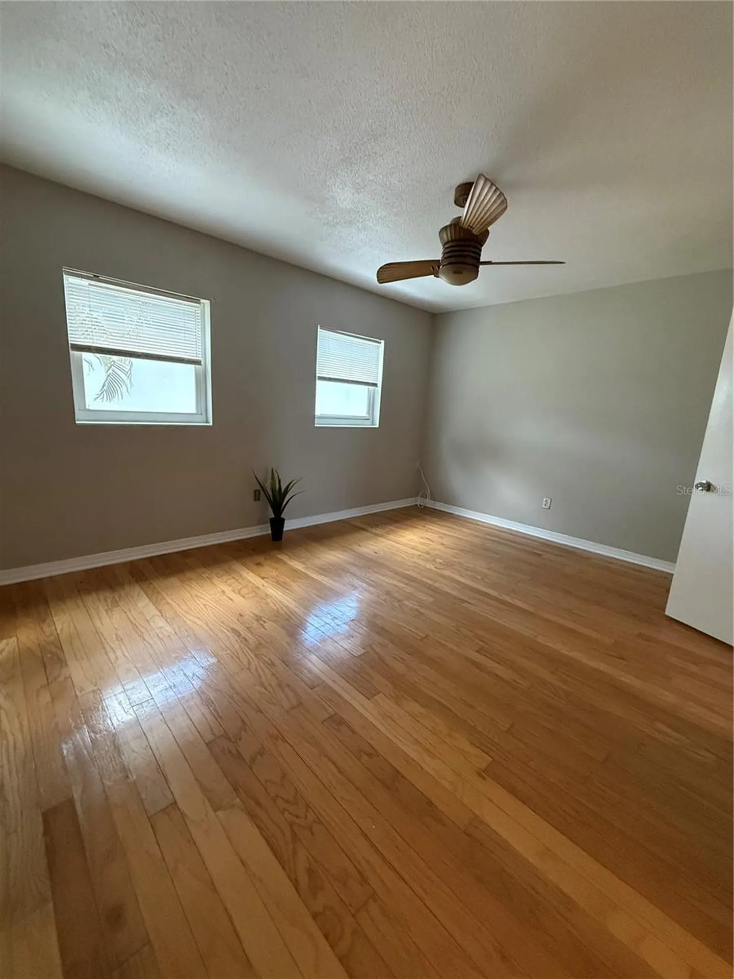 6919 Place De La Paix St Petersburg FL 33707