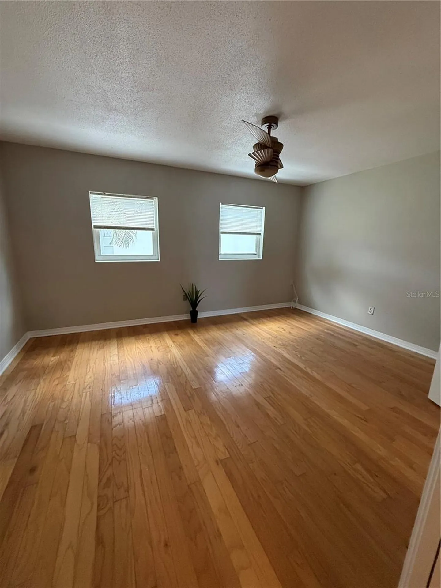 6919 Place De La Paix St Petersburg FL 33707