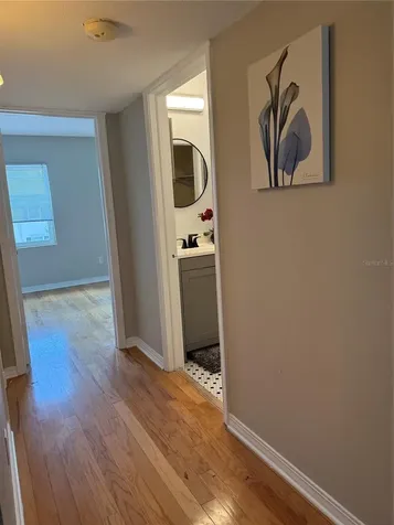 6919 Place De La Paix St Petersburg FL 33707