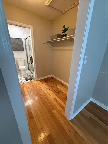 6919 Place De La Paix St Petersburg FL 33707